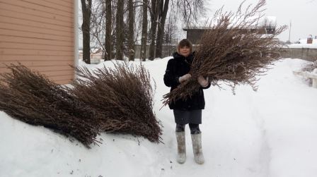 В "Усадьбе двух генералов" уже началась  подготовка к Масленичной неделе