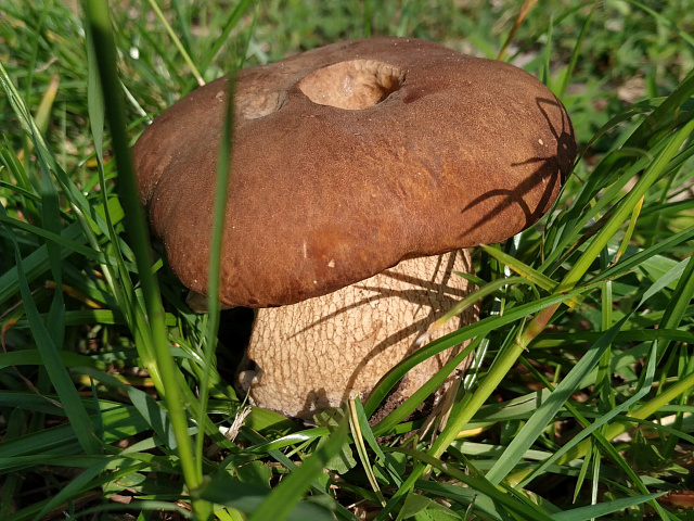 #НочьМузеев2020 Фотовыставка "Природа Владимирской области". "Усадьба Танеевых"