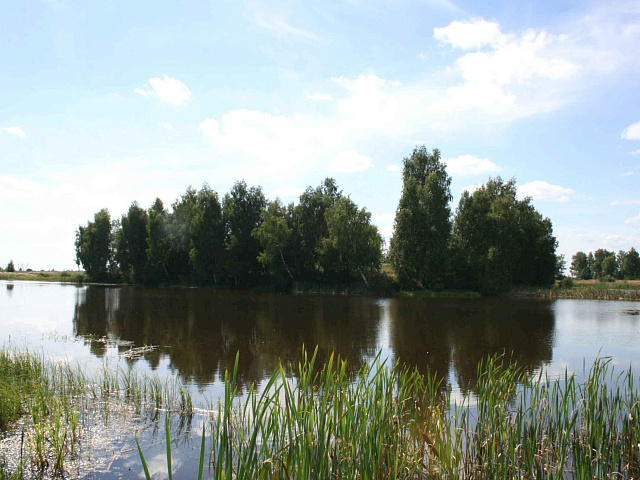 Маньшино – забытая усадьба «хозяина уезда»