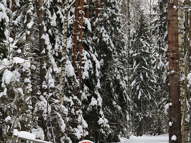 Ченцы — деревня, ставшая призраком