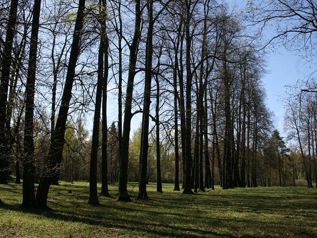 История усадьбы, ее владельцы